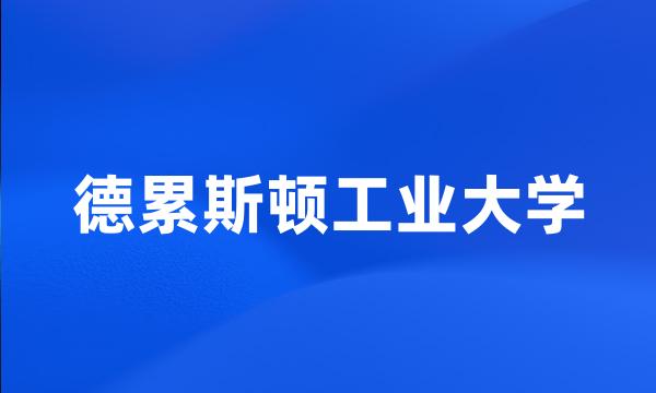 德累斯顿工业大学