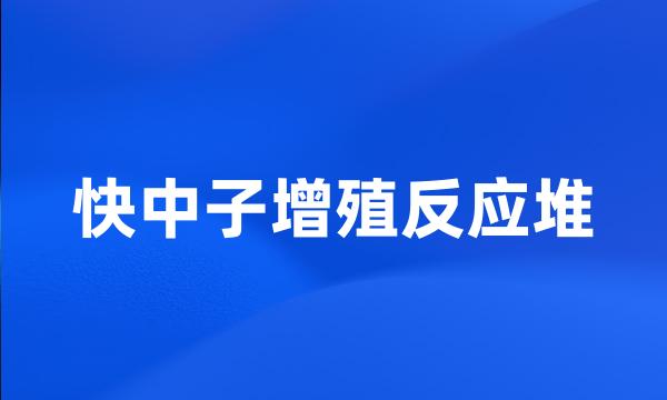 快中子增殖反应堆