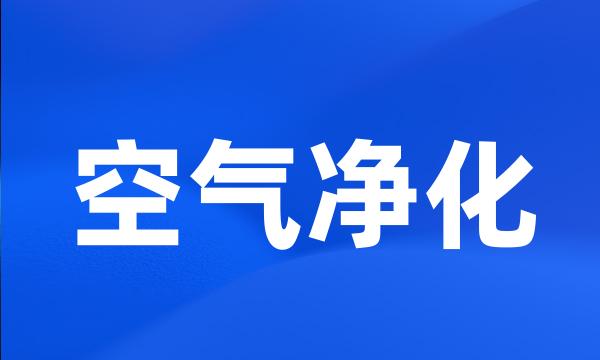 空气净化