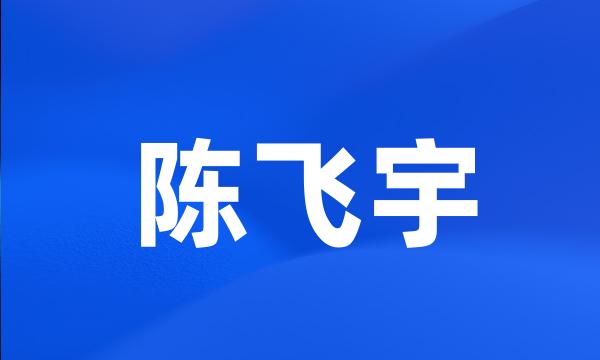 陈飞宇