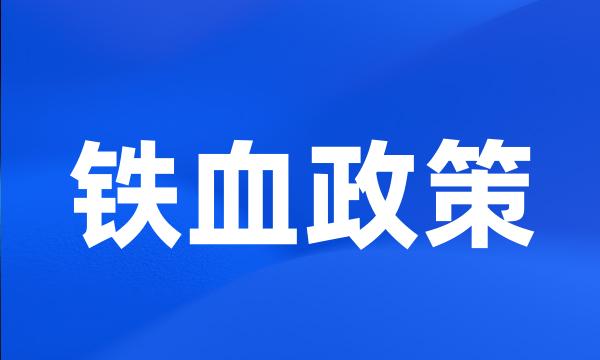 铁血政策