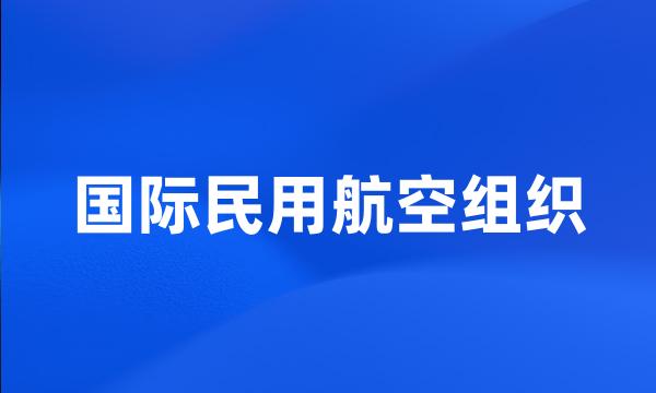 国际民用航空组织