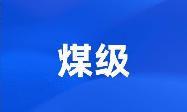 煤级