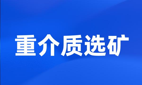 重介质选矿