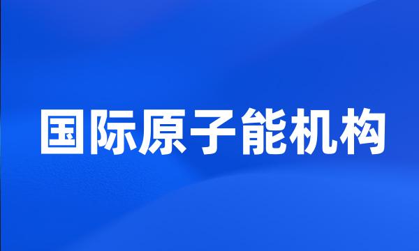 国际原子能机构