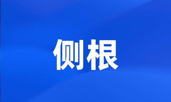 侧根