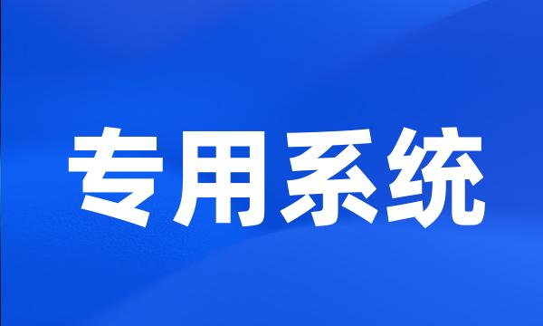 专用系统