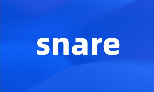 snare