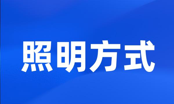 照明方式