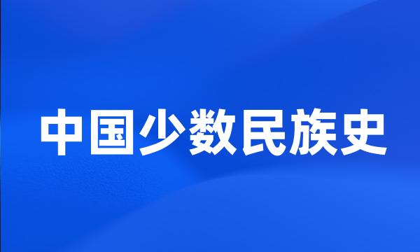 中国少数民族史