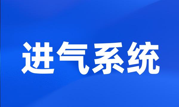 进气系统