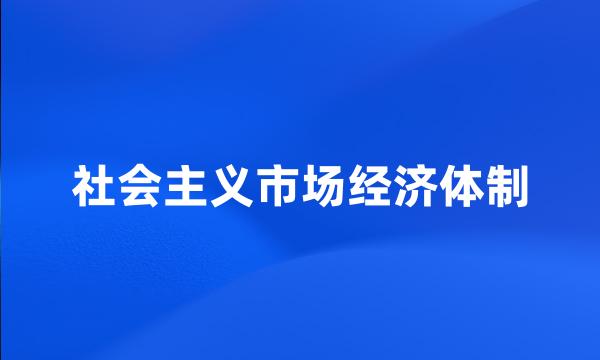 社会主义市场经济体制