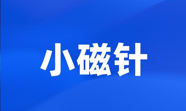 小磁针