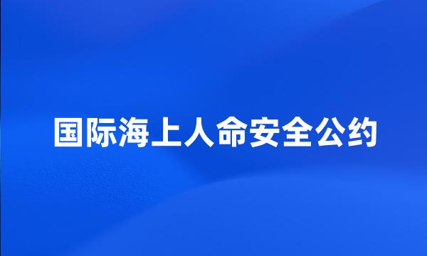 国际海上人命安全公约