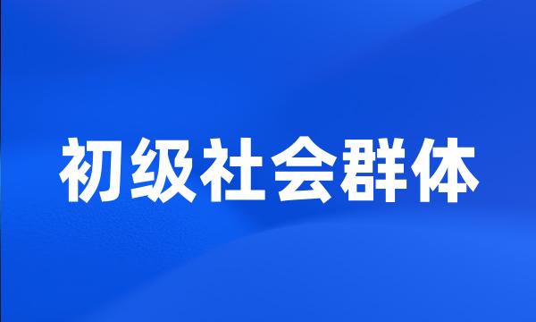 初级社会群体