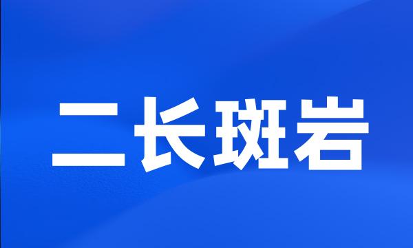 二长斑岩