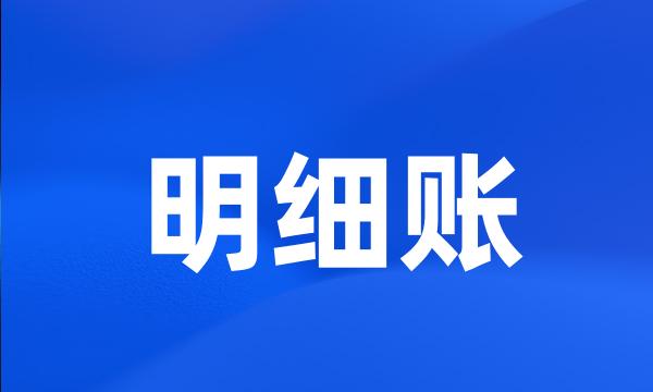 明细账