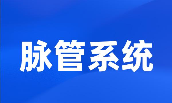 脉管系统