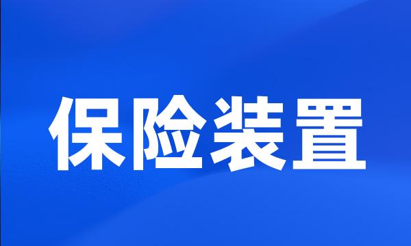 保险装置