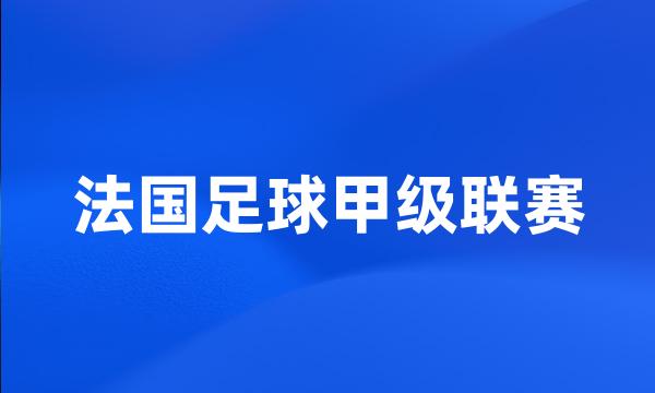 法国足球甲级联赛