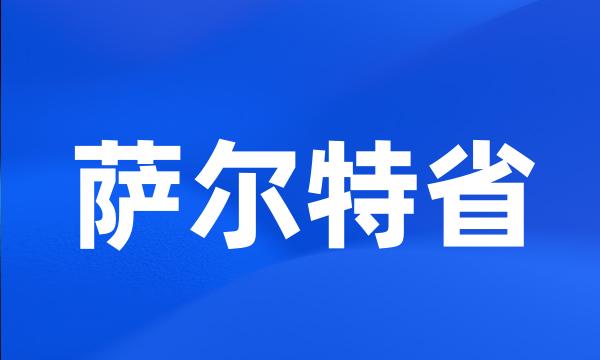 萨尔特省