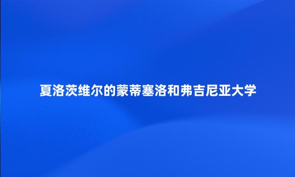 夏洛茨维尔的蒙蒂塞洛和弗吉尼亚大学