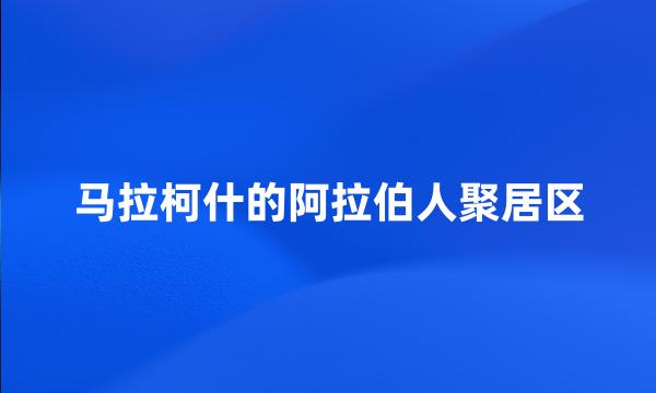 马拉柯什的阿拉伯人聚居区