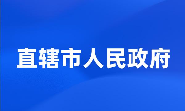 直辖市人民政府