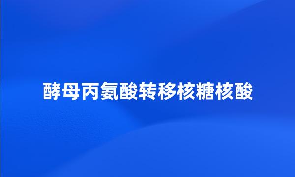 酵母丙氨酸转移核糖核酸