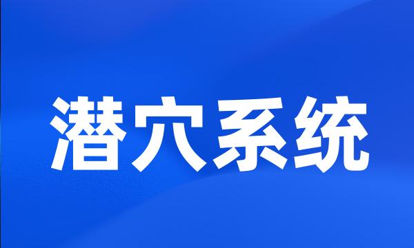 潜穴系统