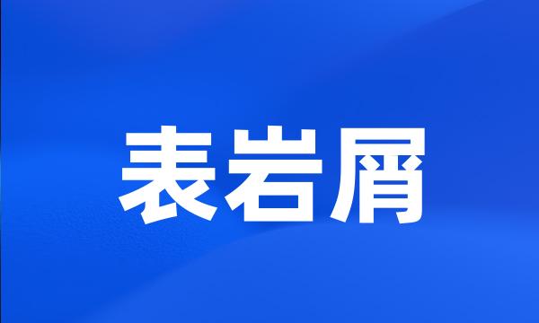 表岩屑