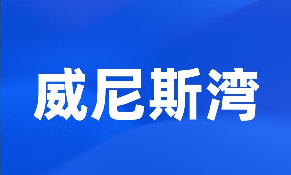 威尼斯湾