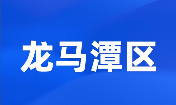 龙马潭区