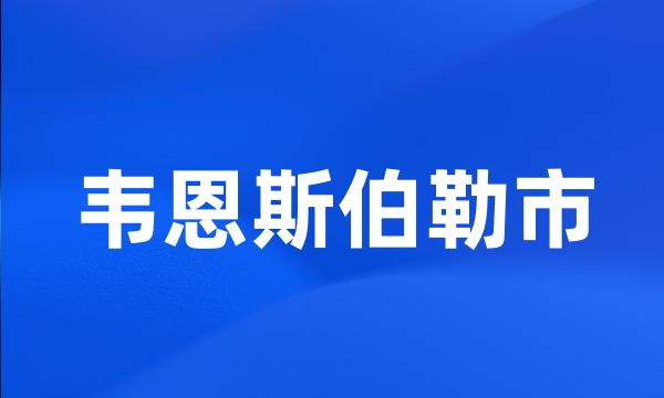 韦恩斯伯勒市