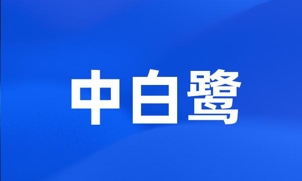 中白鹭