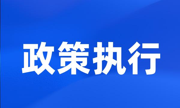 政策执行