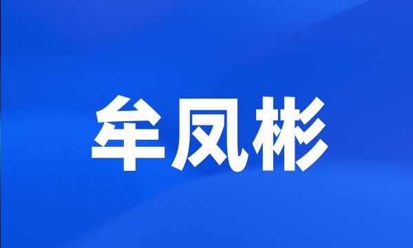 牟凤彬