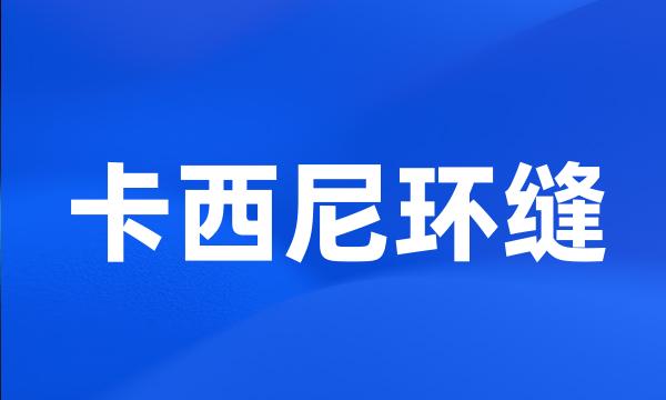 卡西尼环缝