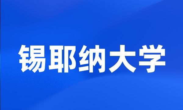 锡耶纳大学