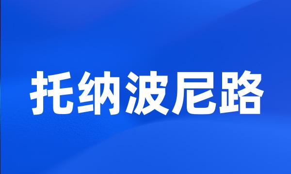 托纳波尼路