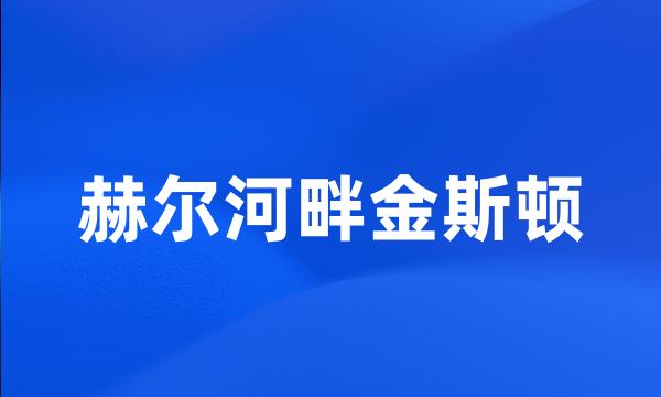 赫尔河畔金斯顿