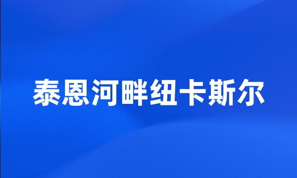 泰恩河畔纽卡斯尔