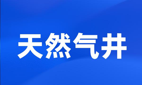 天然气井