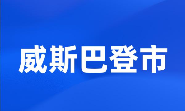 威斯巴登市