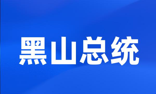 黑山总统