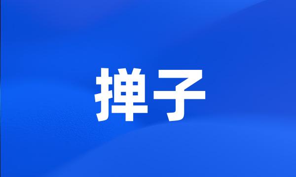 掸子