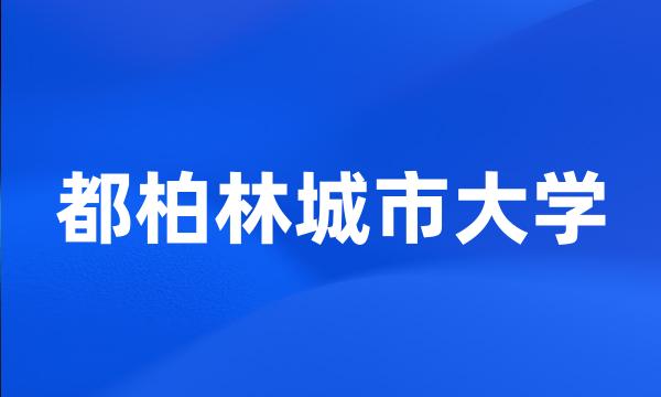 都柏林城市大学