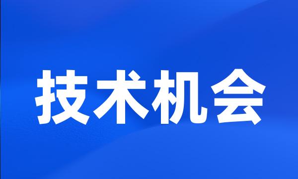 技术机会