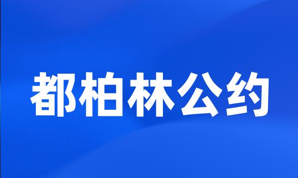 都柏林公约