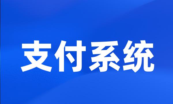 支付系统